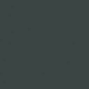 Conifer